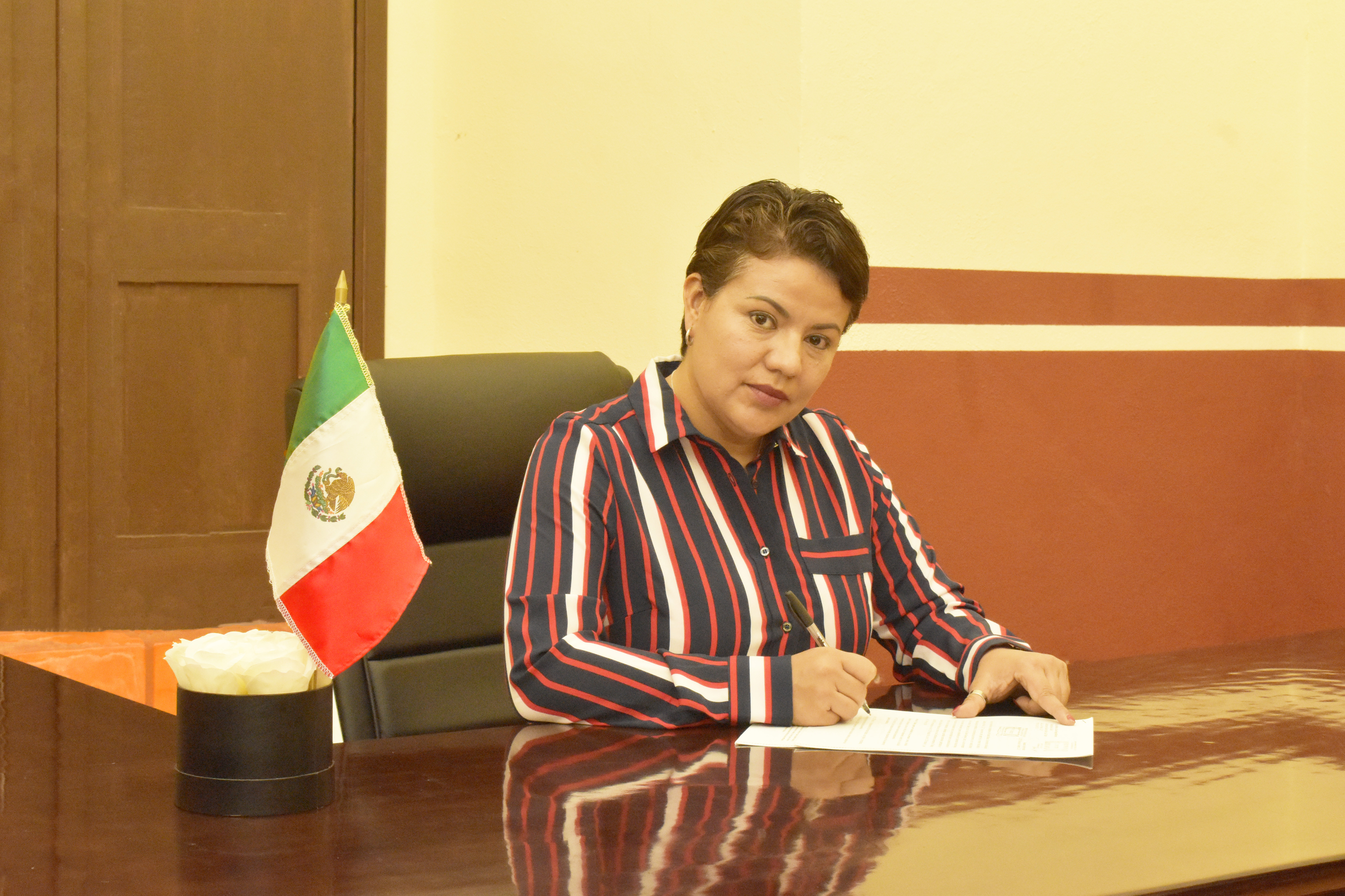 Dra. Mireya Vancini Villanueva&nbsp;